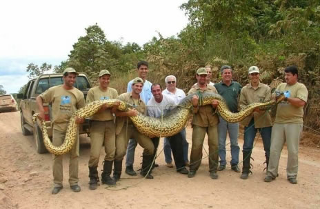 165-bigsnake.jpg