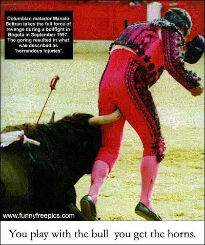 matador.jpg